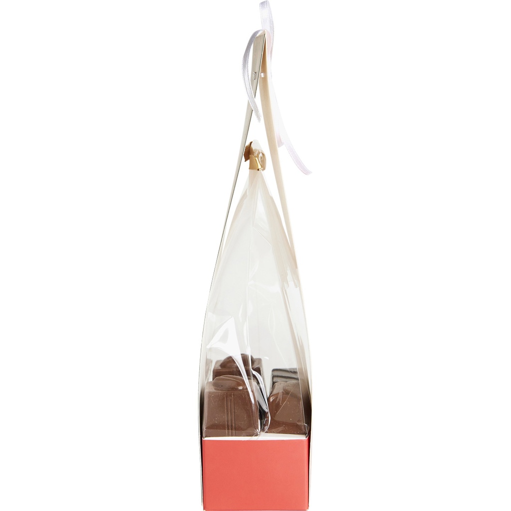 SAINT-NICO bag support