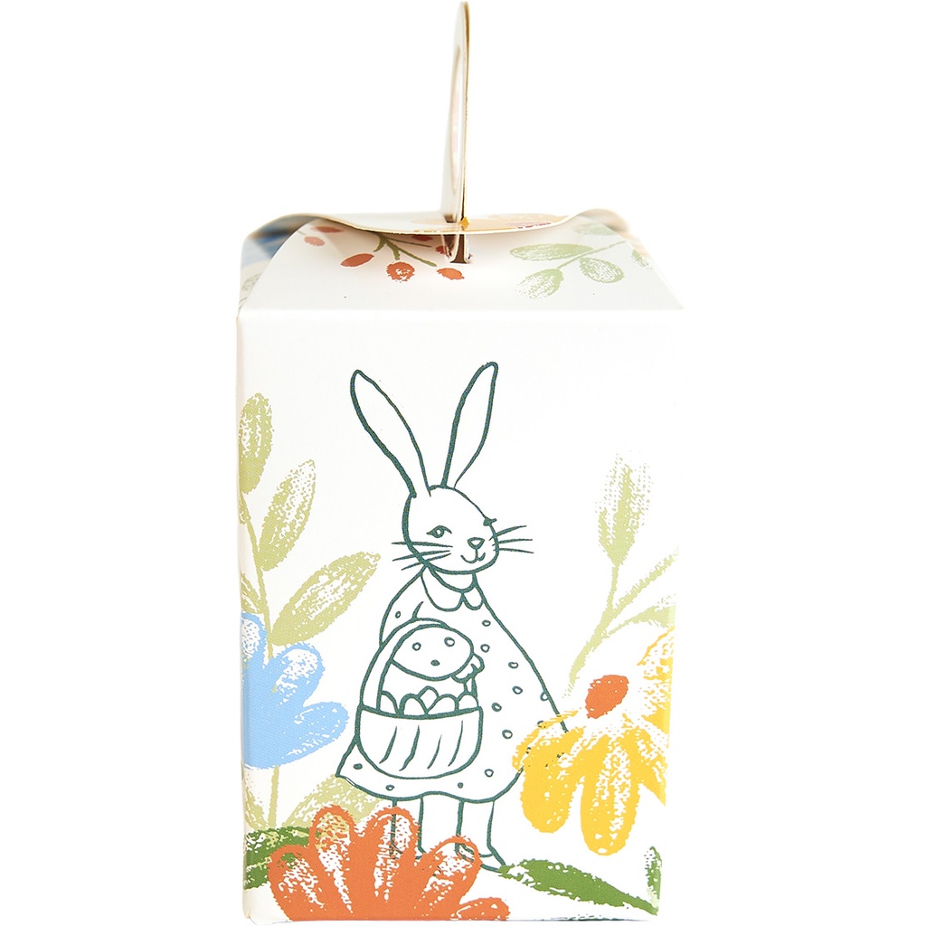 The Gentle Bunnies eggbox 09