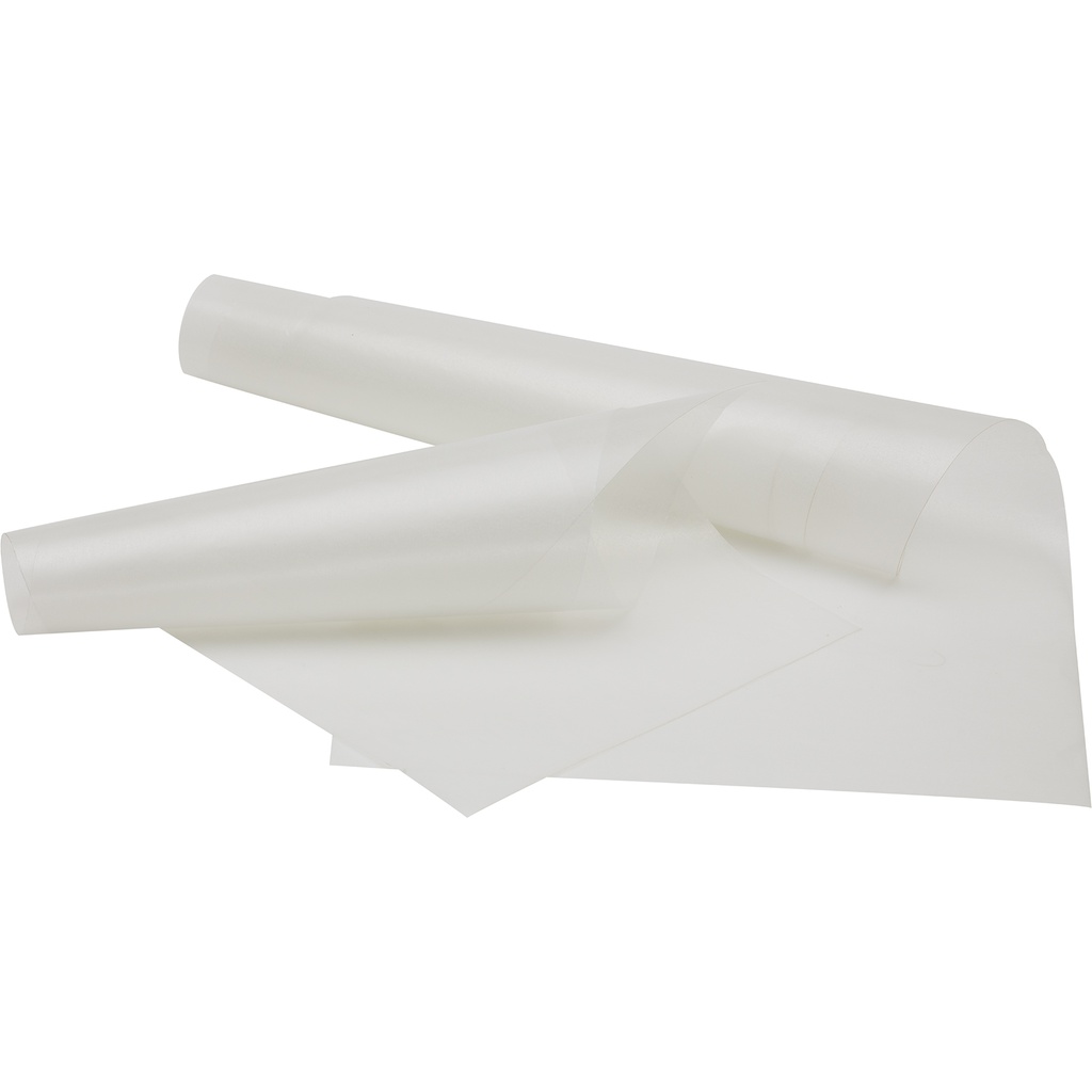 GLASSINE foglia grande***