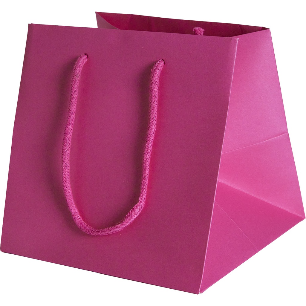 BAG 20 COLOR 25***
