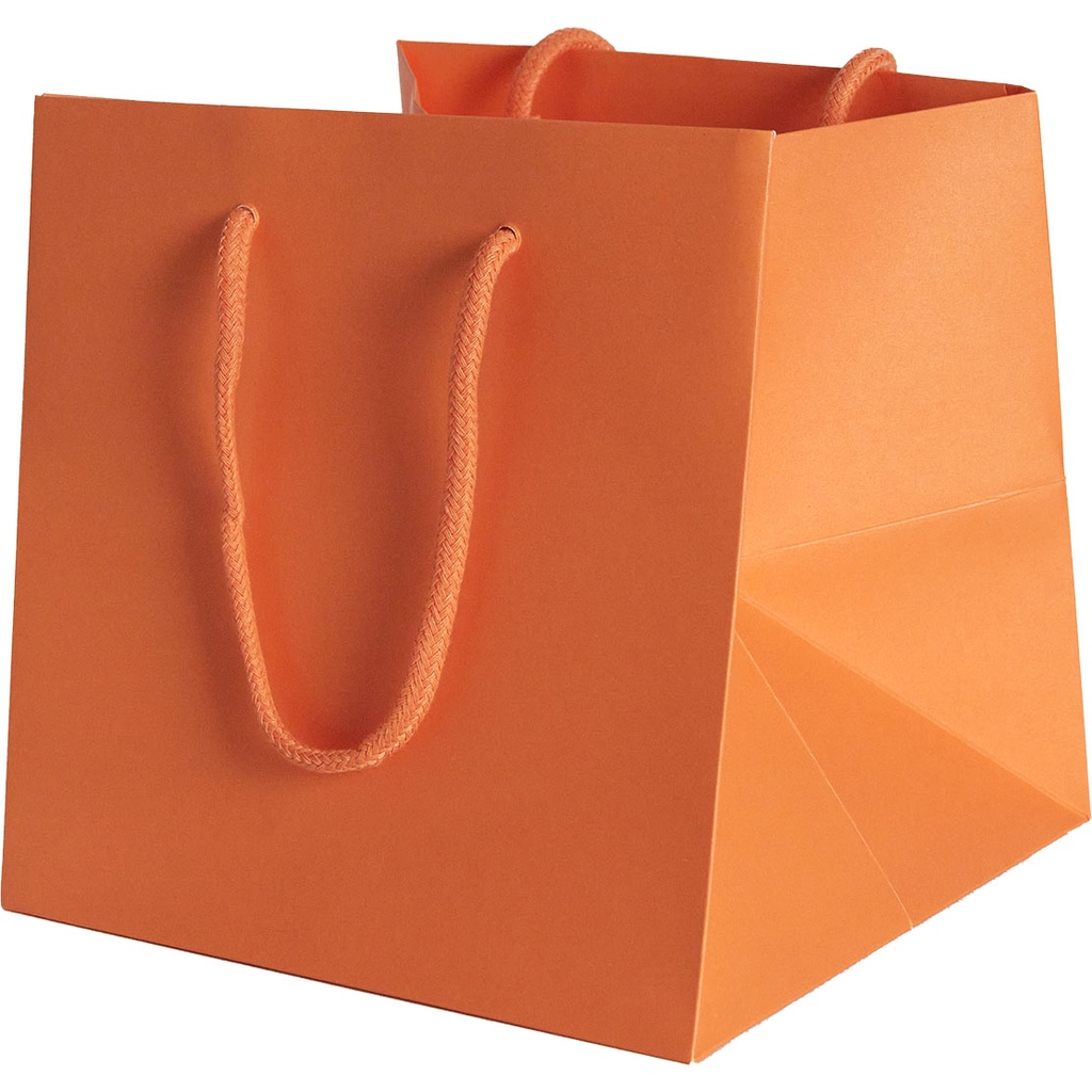 BAG 20 COLOR 40***
