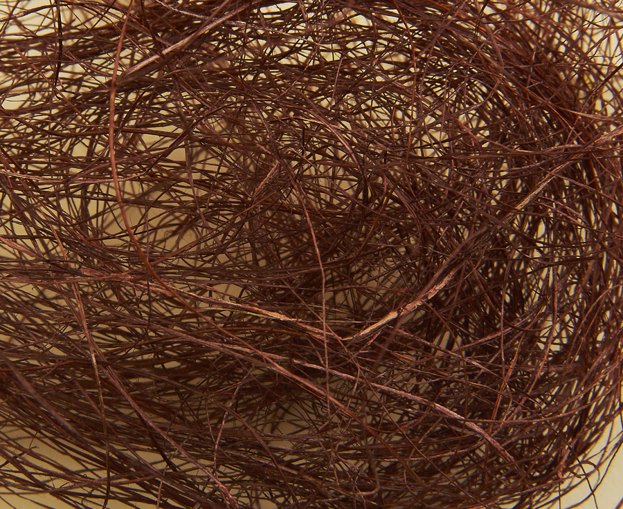 SISAL 79