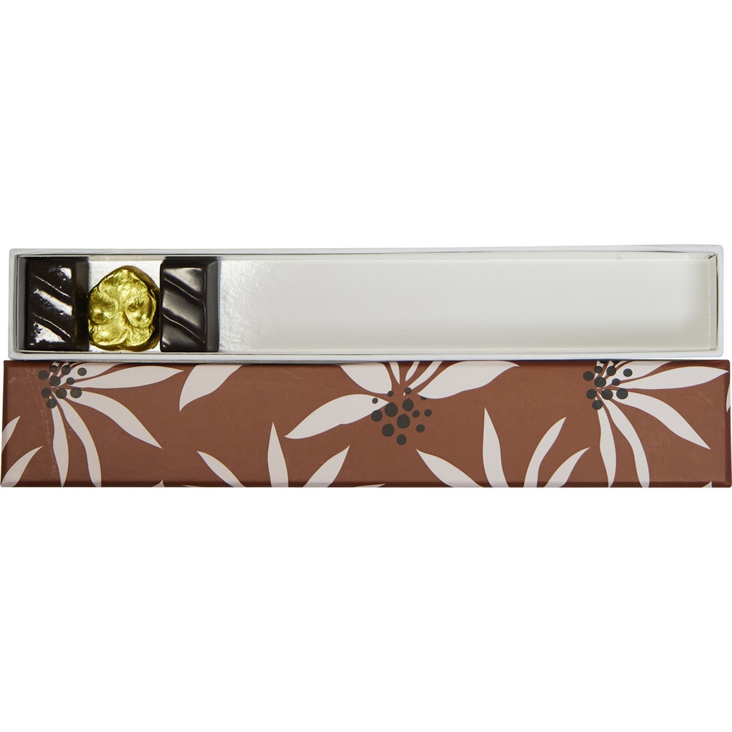 TERRE DU SUD reglet 06