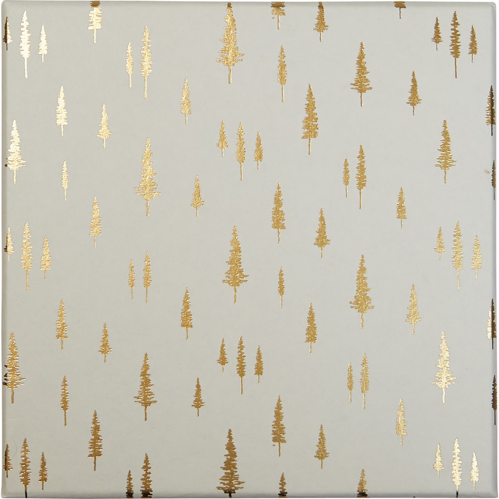 MATIN D'HIVER basic 14