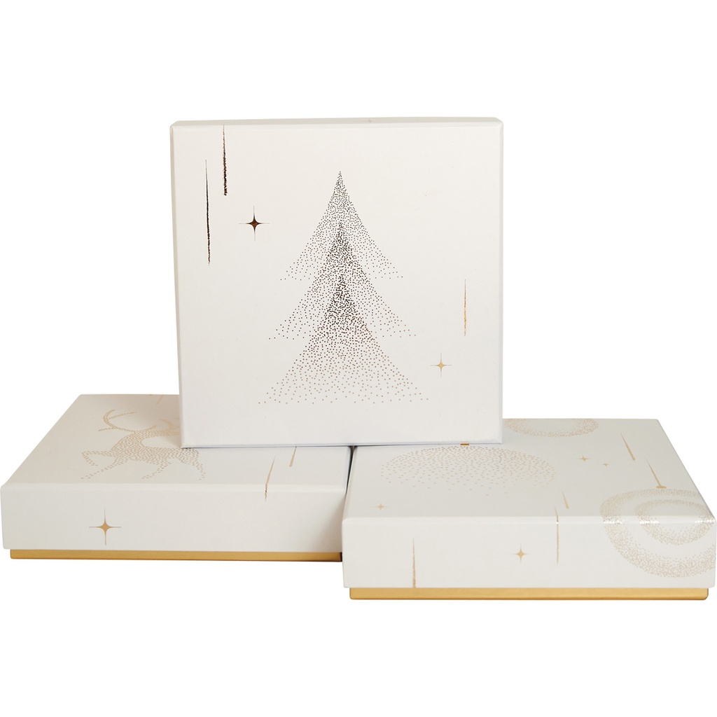 SCENES DE NEIGE basic 14 assortment of 3