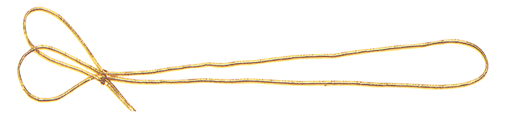ELASTICI 2 anelli 20