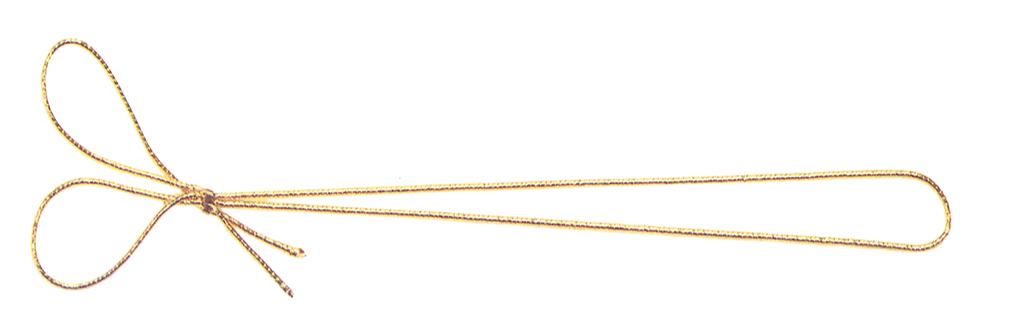 ELASTIQUE 2 coques 25 -ELA012515