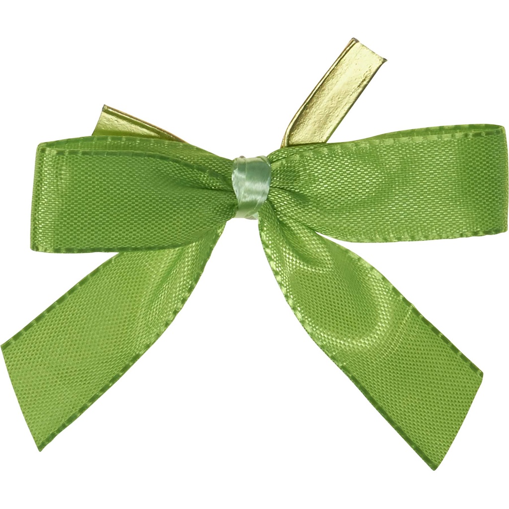 CLIP schleife grün 51