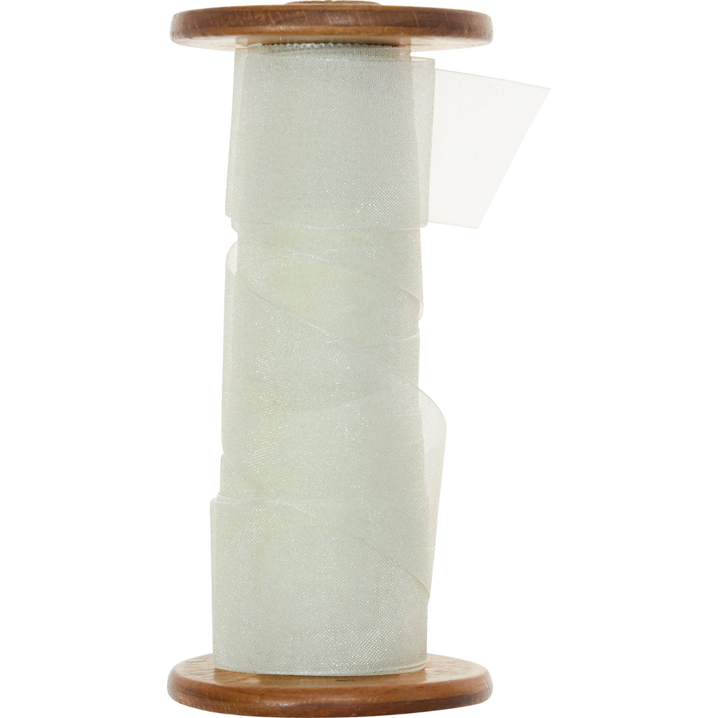 ORGANZA 25mm ivoire 14 -RBN48882514