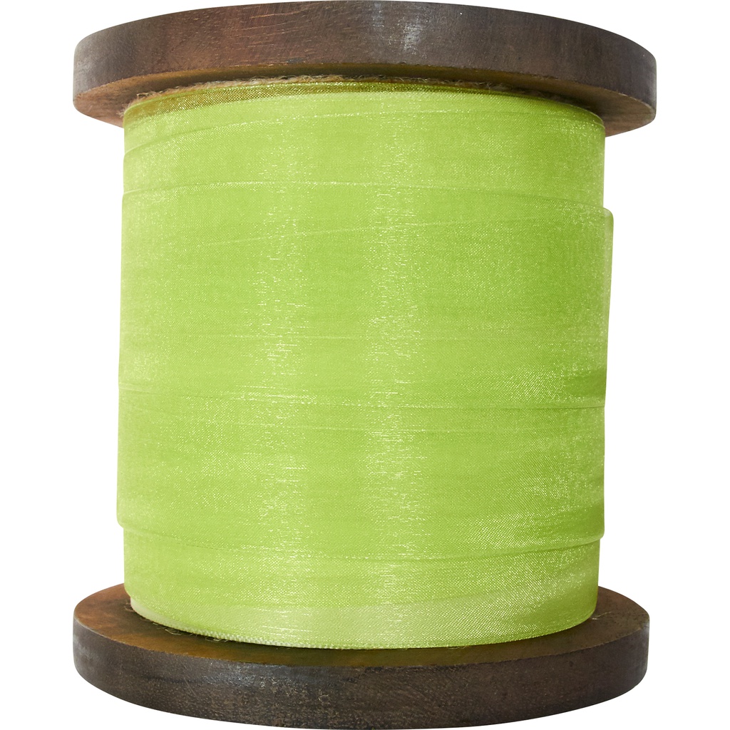 ORGANZA 40mm vert 53