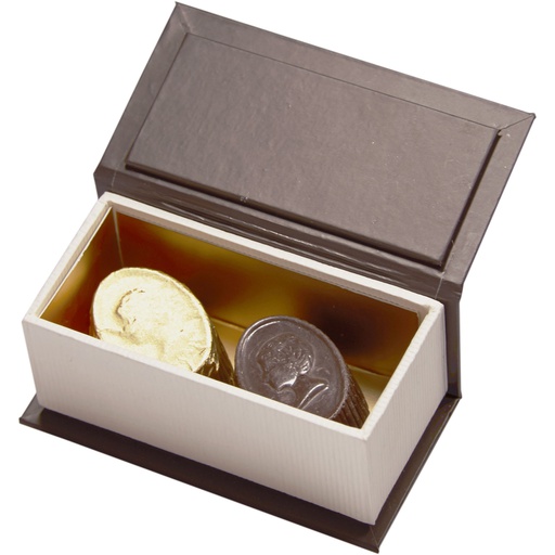 [5534*01*02*79***] PLUG - 2 chocolats***