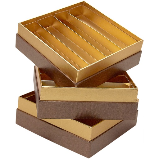 [5534*37*04*78***] TERRA  intermediate***