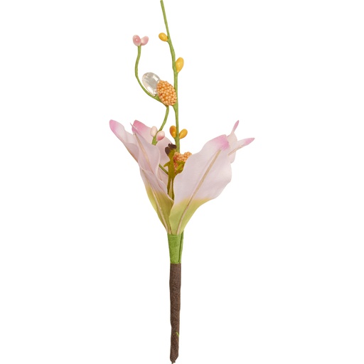 [4516*97*03*21] Mistral pick3