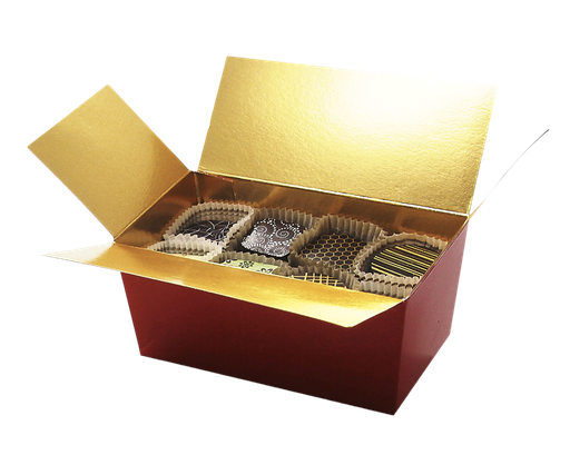 [3090*07*25*20] BALLOTIN rood 250