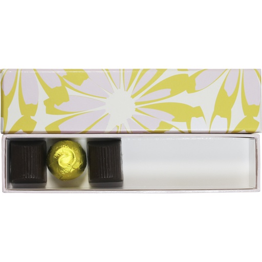 [5532*50*05*10] TO THE BEACH reglet 05