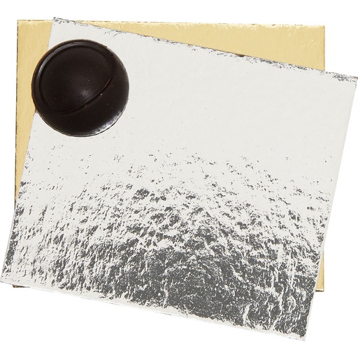 [3435*89*08*05***] CARTONE ORO/ARGENTO per borsa 08