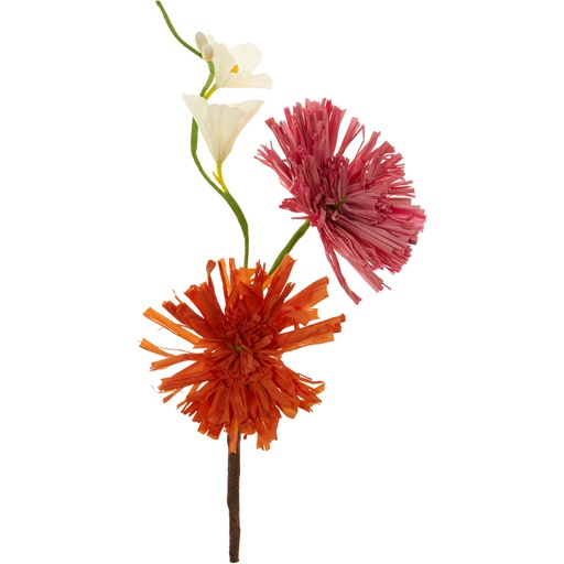 [4516*94*29*25] QUEENSLAND pick 4