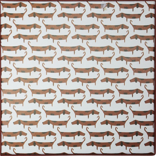 [5533*81*21*79] DOG Basic box  21