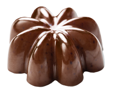 [MA*21MA1067] MOULE pour pralines - Etolie