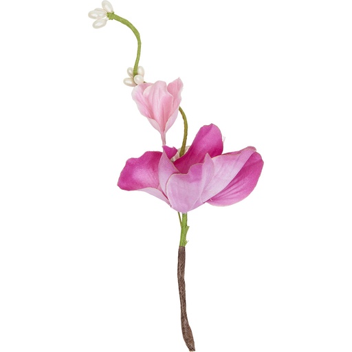 [4516*35*04*26] BIRD OF PARADISE Pick 4