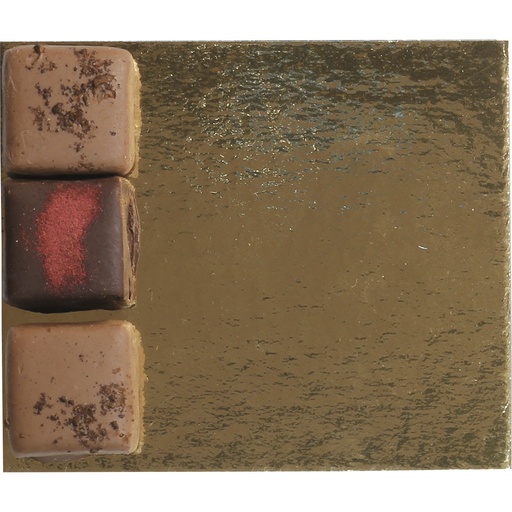 [3436*01*08*15] GOLD CARDBOARD for bag 08 