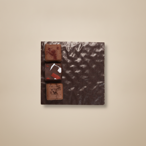 CUSHION 09