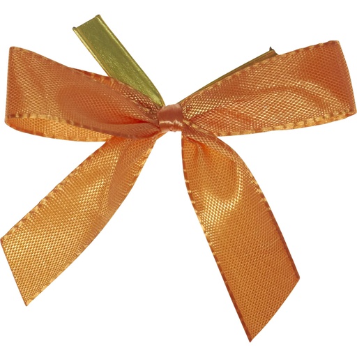 [2378*2/4063/41***] CLIP noeud orange 41