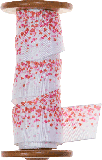 [2379*4099*25HT] COEUR 25