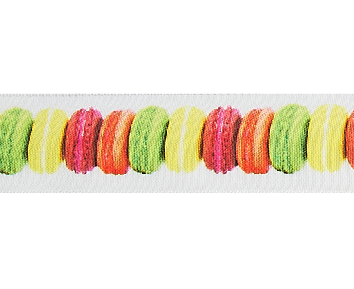 [2919*20*25*99] RUBAN macaron