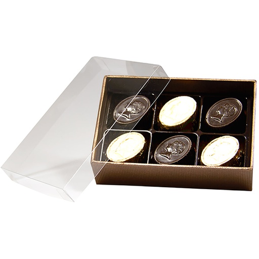 [3534*32*06*78] TERRA transparente 06